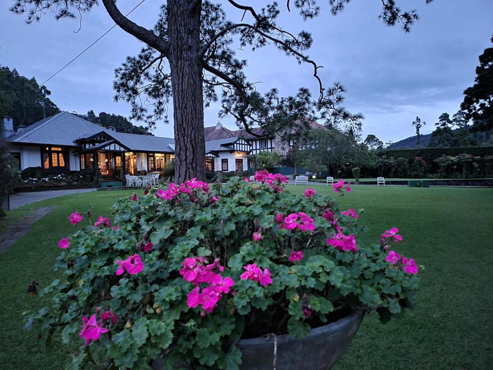 Hill Cottage Nuwara Eliya Luaran gambar