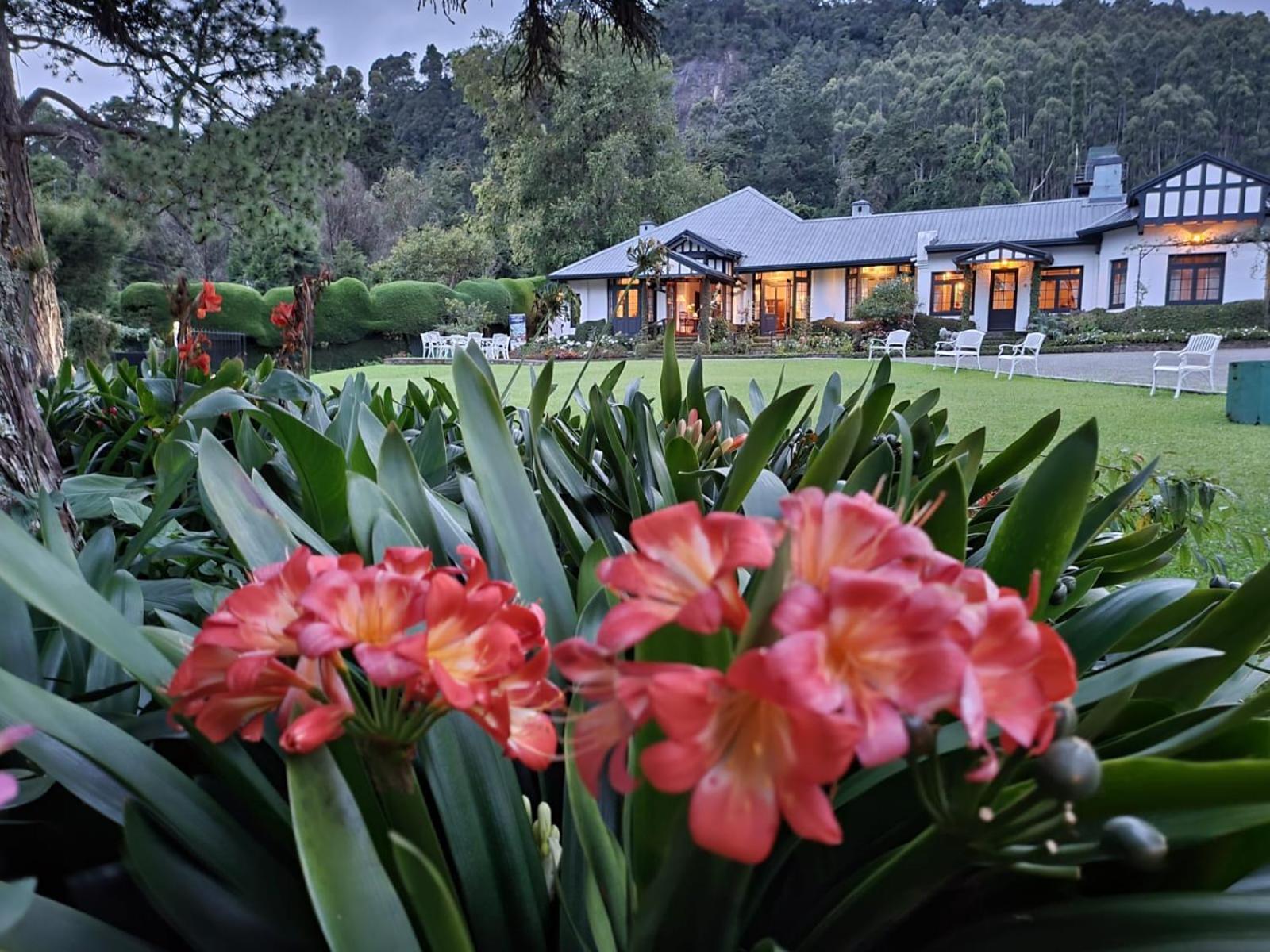 Hill Cottage Nuwara Eliya Luaran gambar